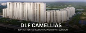 DLF Camellias is a highly rented property in Gurgaon. The is the most expensive project.